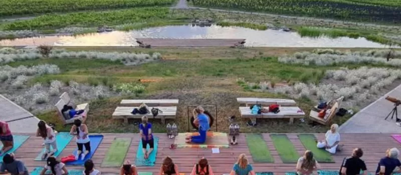 Yoga along the Wine Paths
