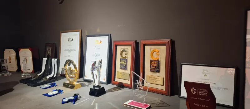 Premiso Susana Balbo