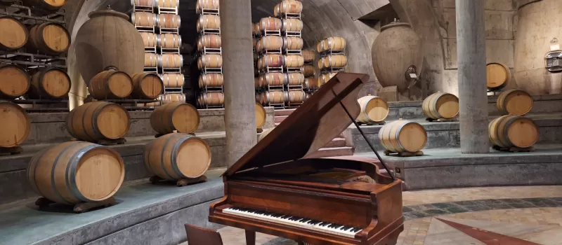 SALENTEIN & AlPASION. UCO VALLEY GROUP TOURS