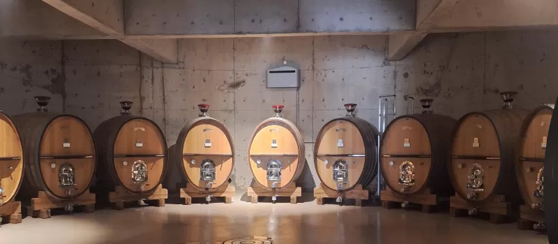 Luxury South Uco Valley