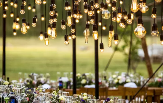 Green Tour, Organic Wines