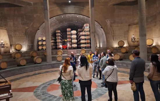 SALENTEIN & AlPASION. UCO VALLEY GROUP TOURS