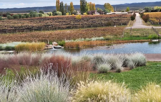 Green Tour, Organic Wines