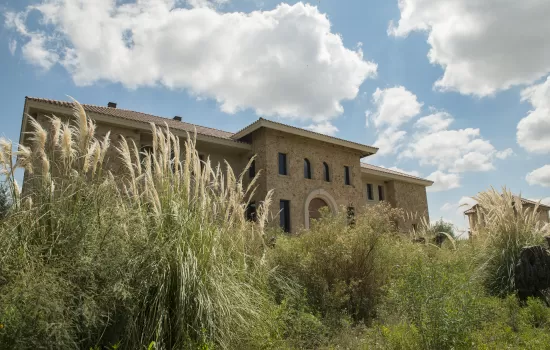 Green Tour, Organic Wines