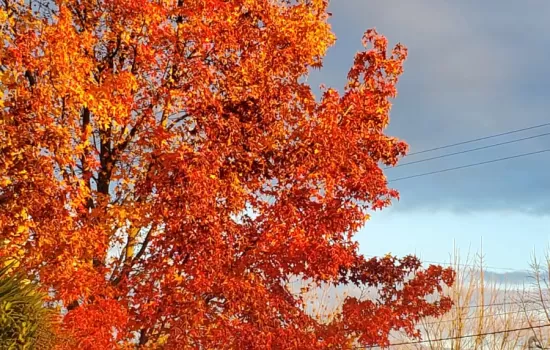 Unique Wine Experiences