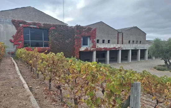 Uco Valley, Trendy Wineries