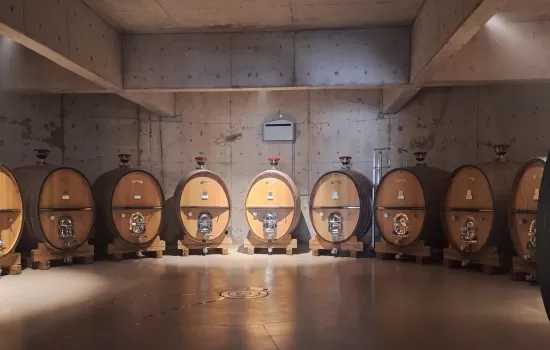 Luxury South Uco Valley