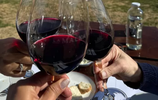 Unique Wine Experiences