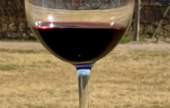 Unique Wine Experiences