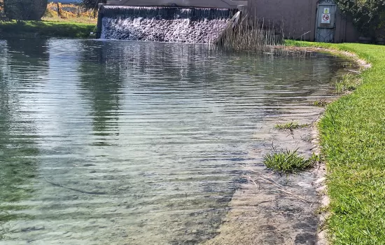 Green Tour, Organic Wines