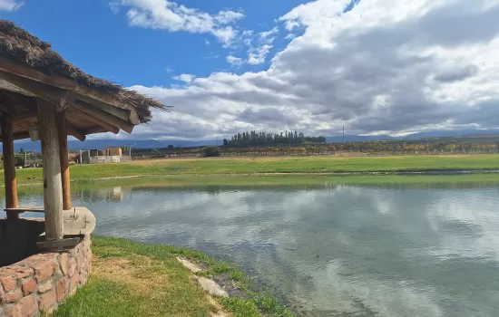 Green Tour, Organic Wines