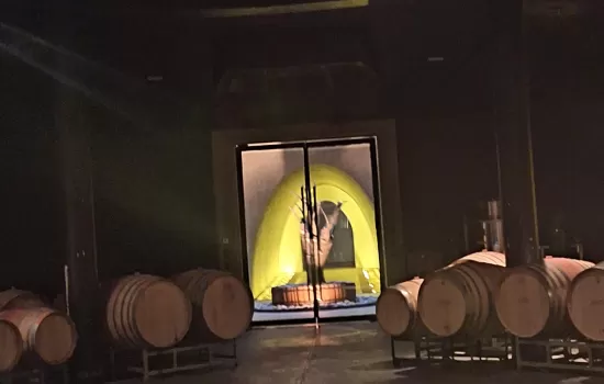 Green Tour, Organic Wines