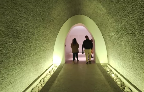 Green Tour, Organic Wines