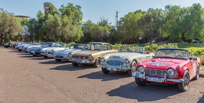 Rally de las Bodegas