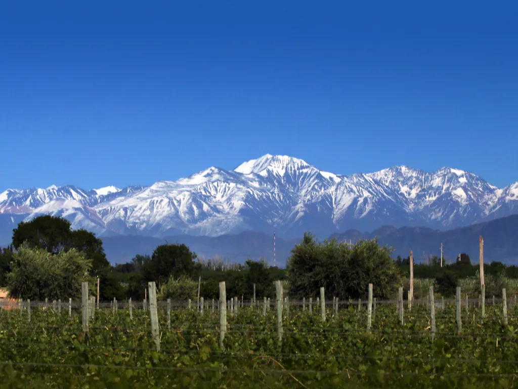 Mendoza make you fall in love