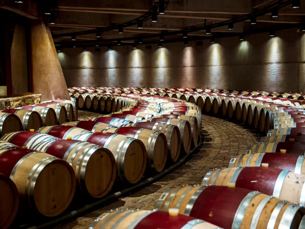 We are local experts with global experience, no intermediaries!